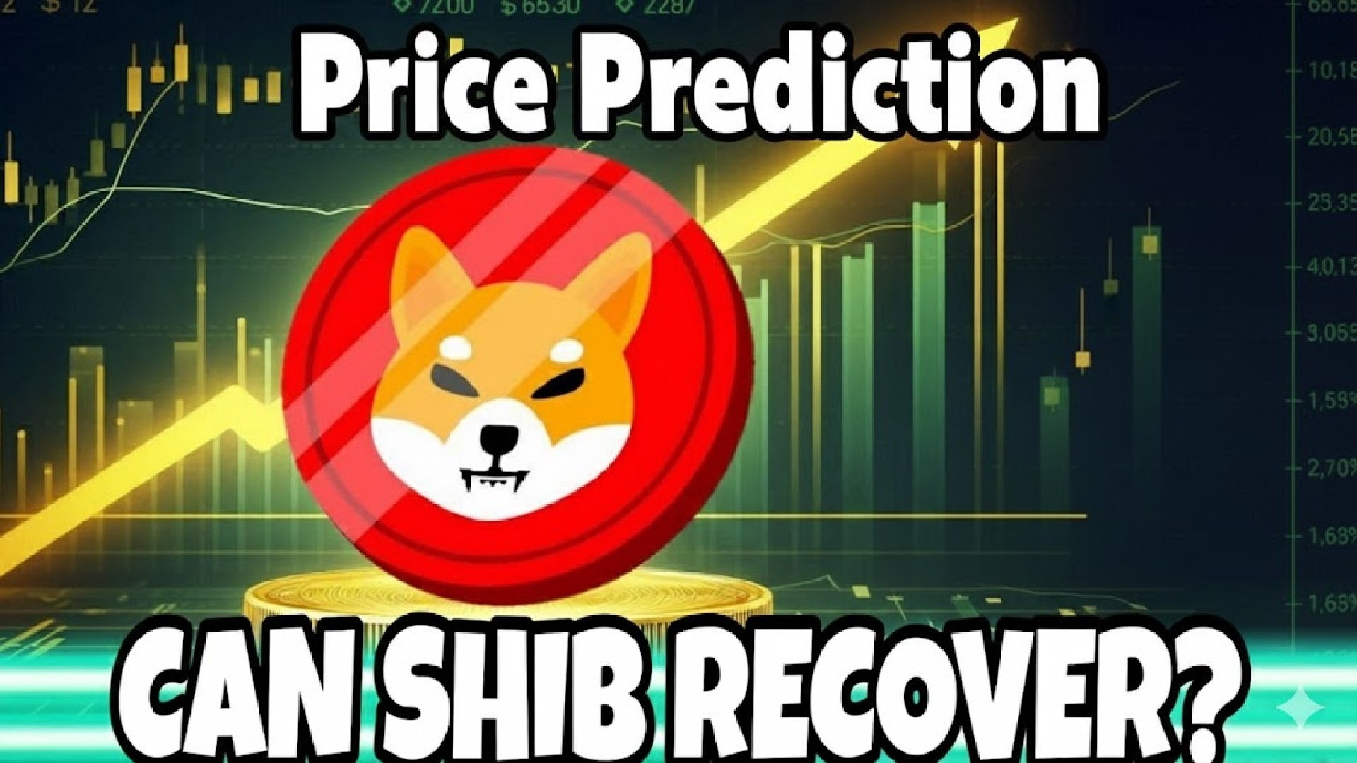 Best Meme Coins to Buy – Shiba Inu Price Prediction, Next 1000x Crypto