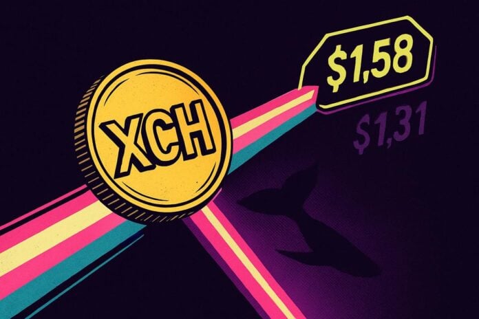 XCH price surge